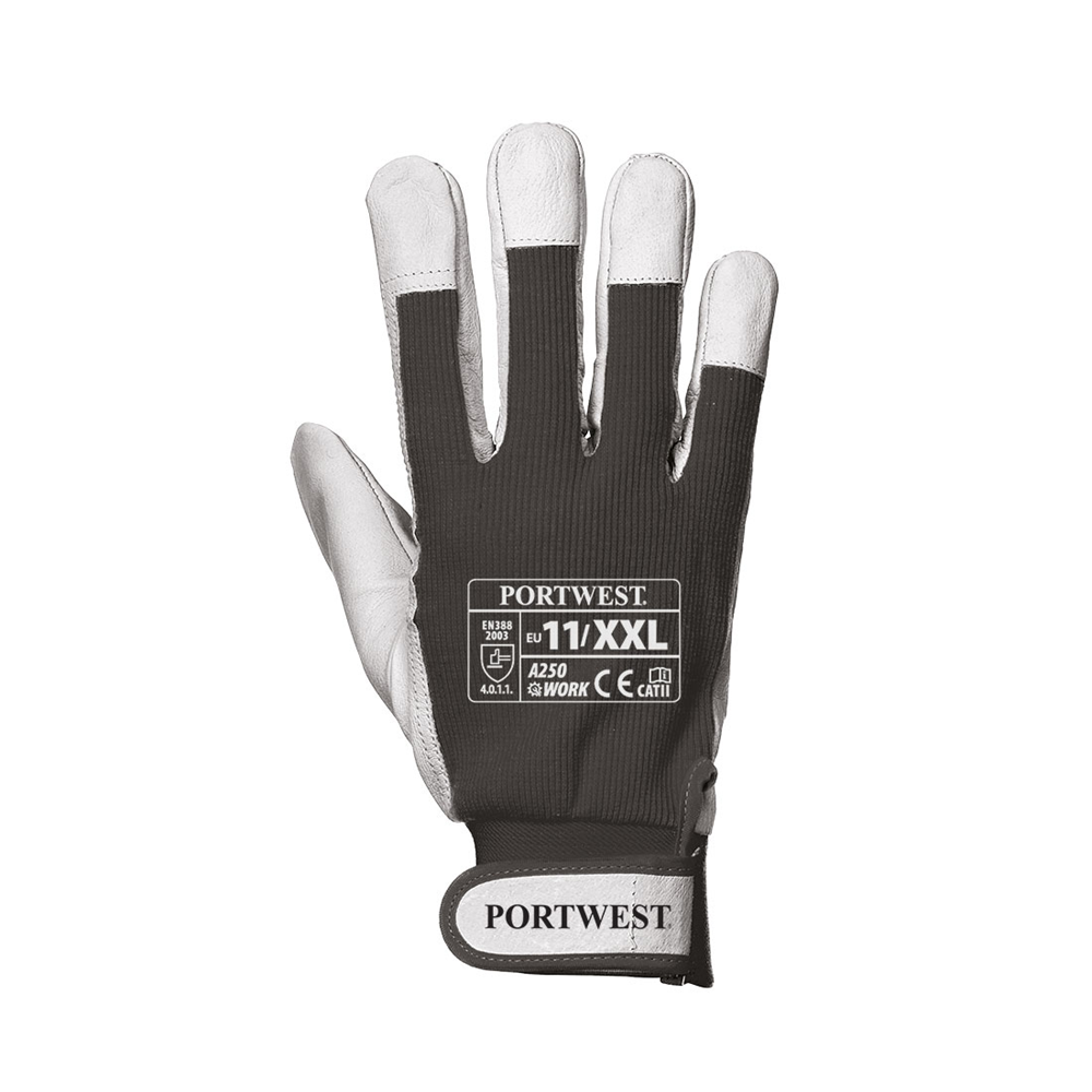 Tergsus Glove