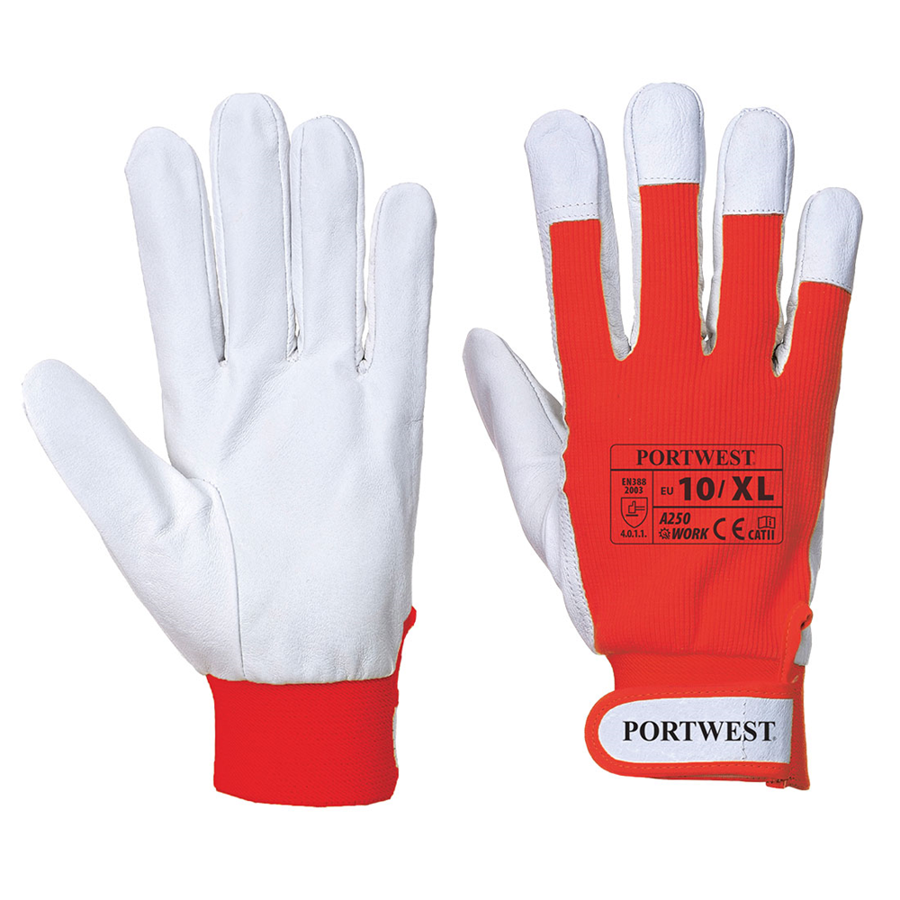 Tergsus Glove