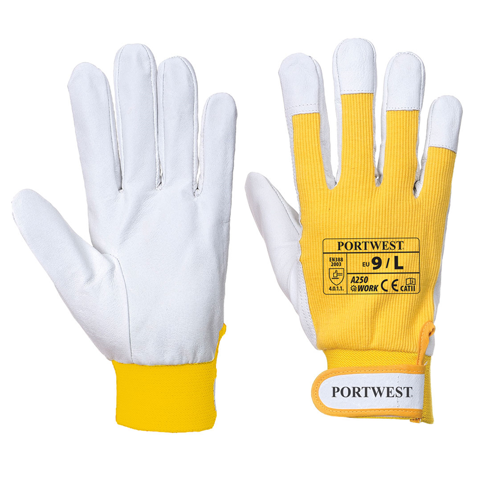 Tergsus Glove